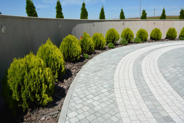 Best Affordable Driveway Paving  in Miami Shores, FL