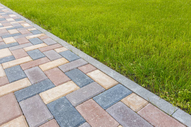 Best Interlocking Driveway Pavers  in Miami Shores, FL